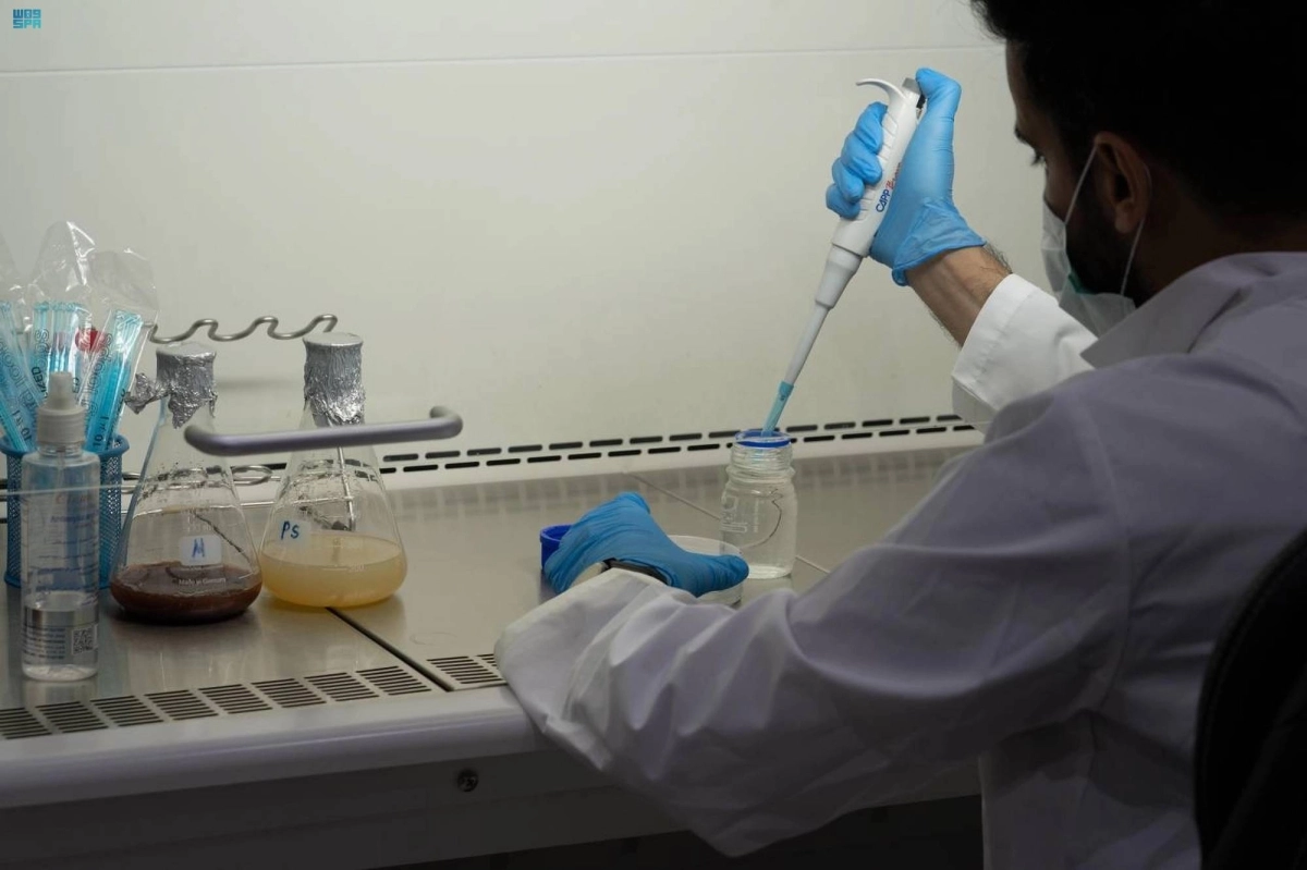 فحوصات مخبرية لماء زمزم (مكة) 