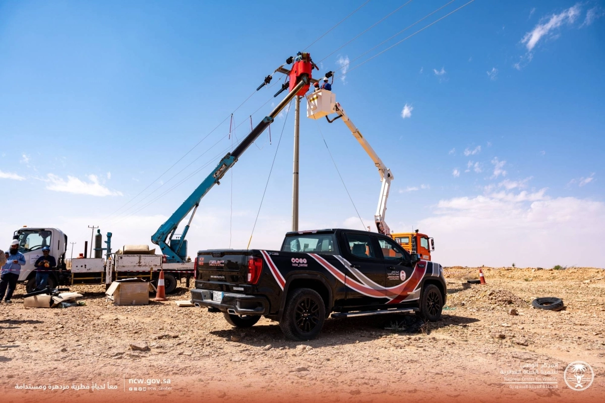 

تثبيت العوازل بإحدى المحميات                                                           (مكة)