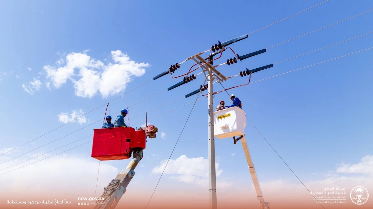 خلال تثبيت العوازل 