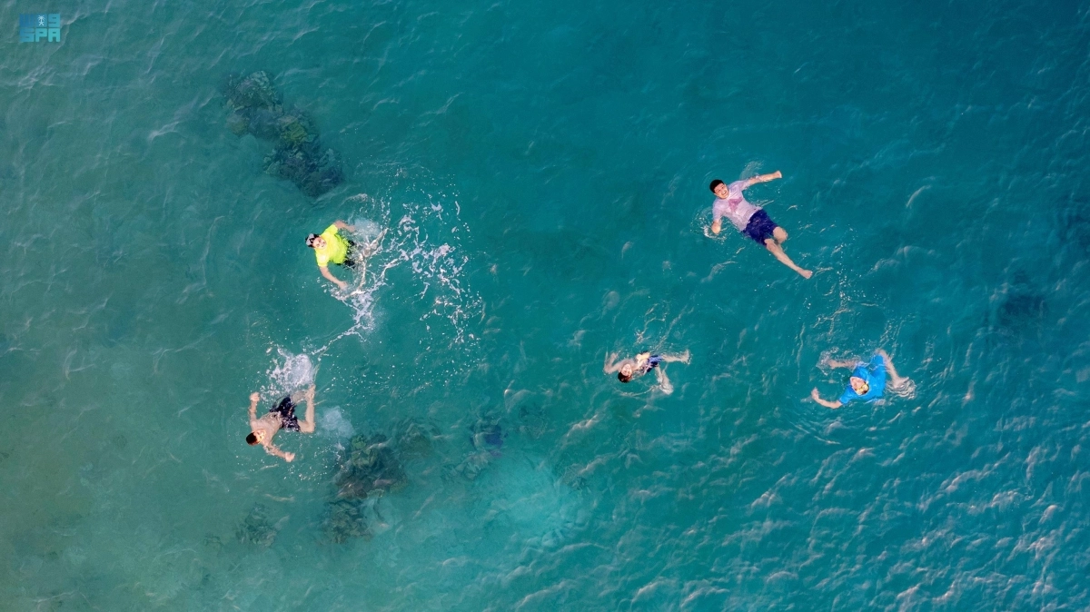 

عشاق السباحة                                                  (مكة)