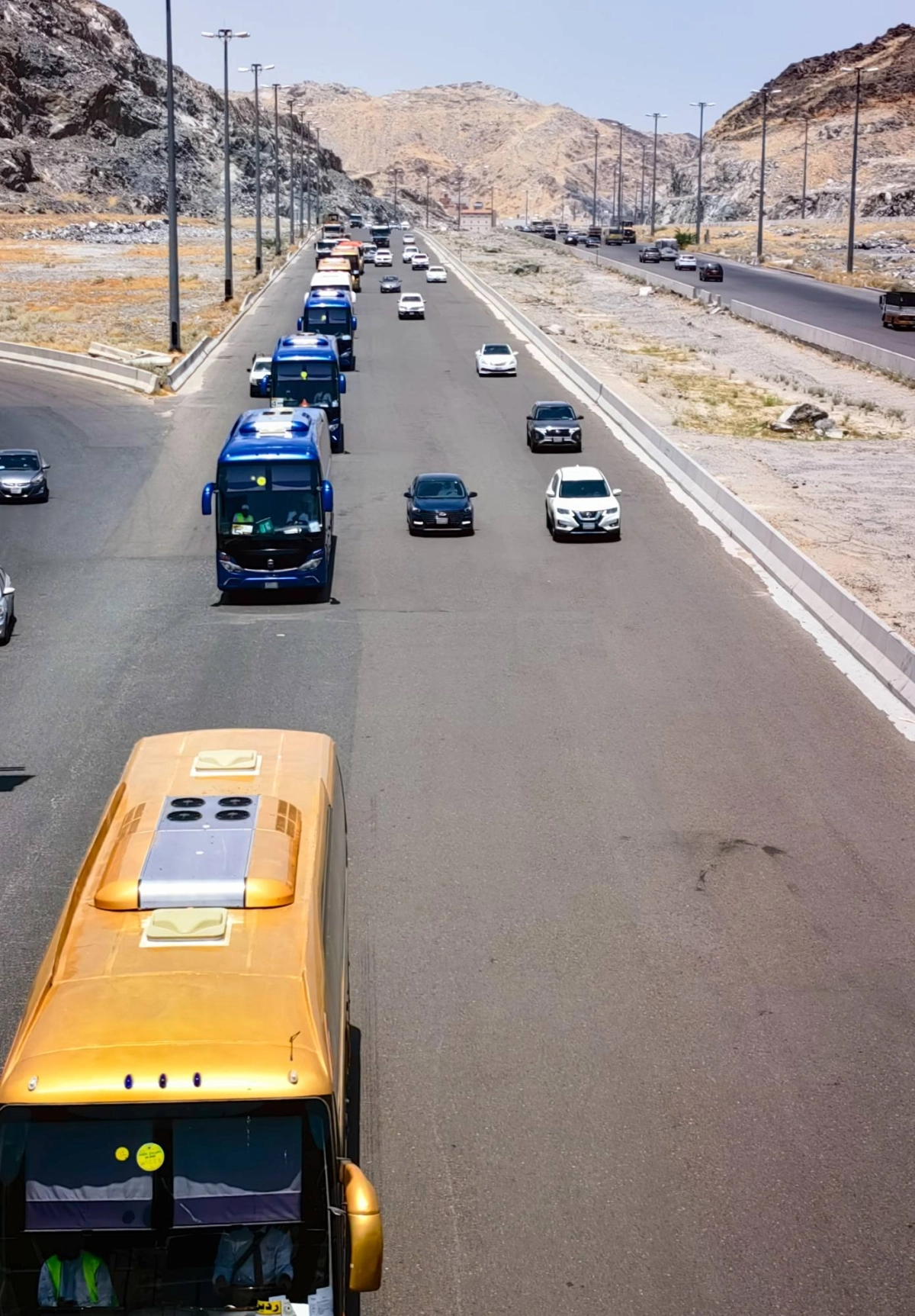 أنس الحارثي