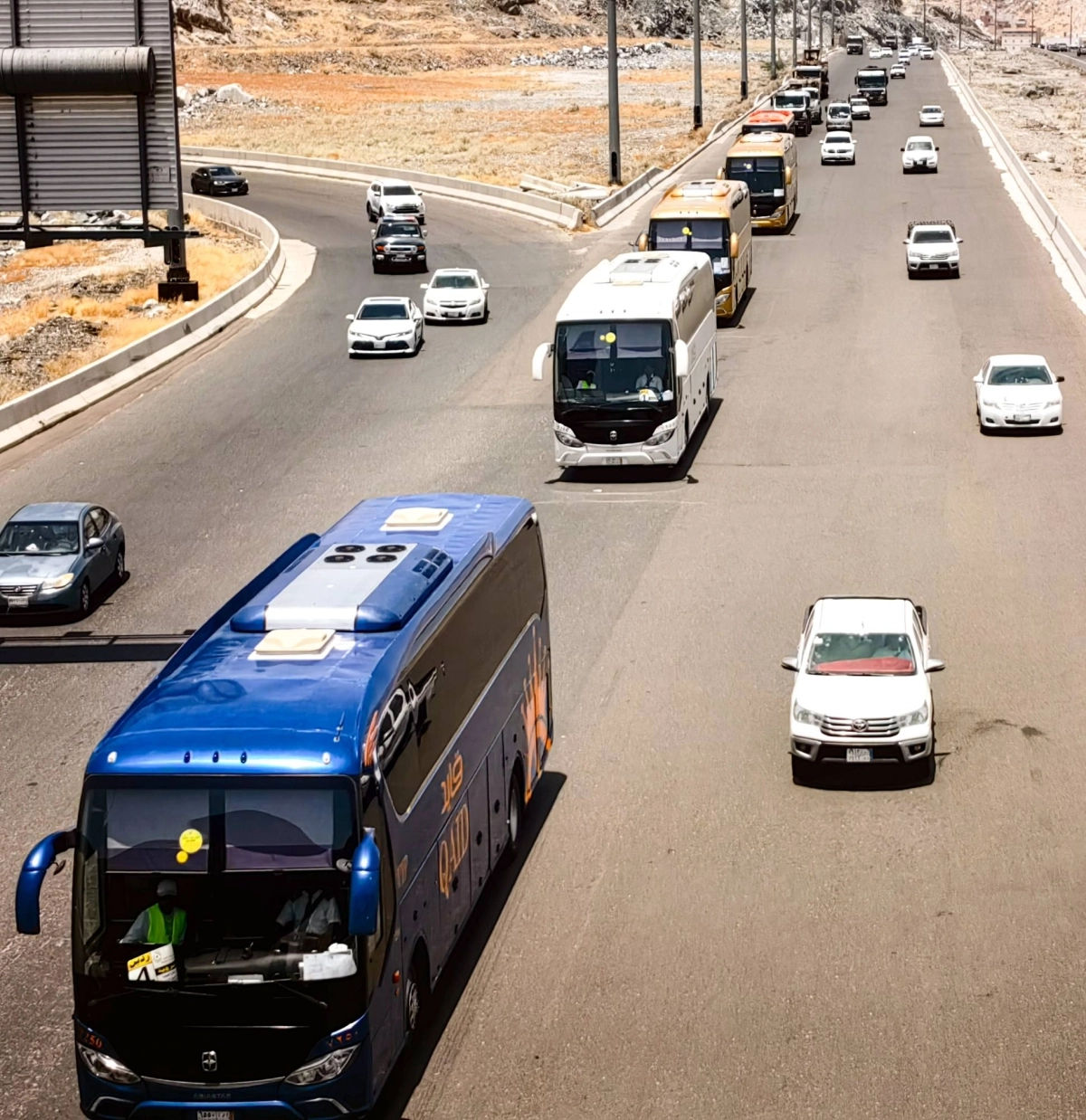 أنس الحارثي 