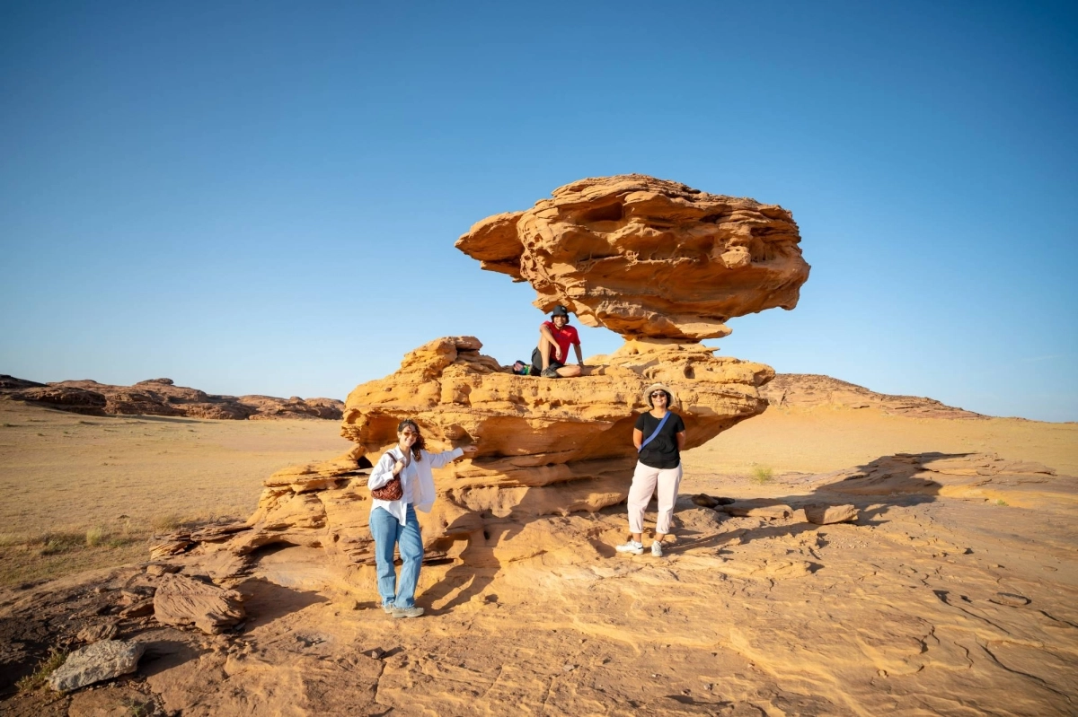 الفنانين في العلا