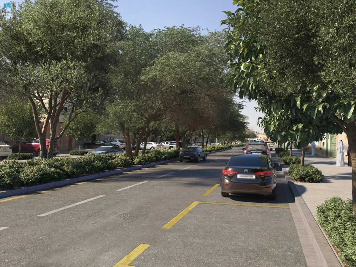 تشجير أحد شوارع الحي (مكة)