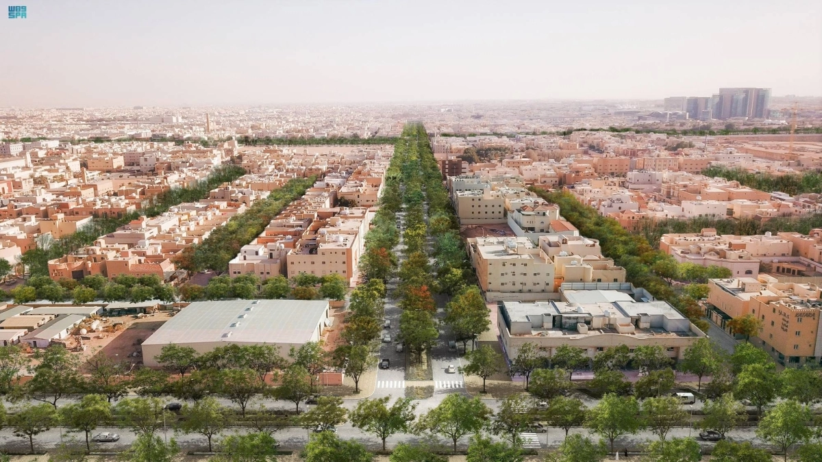 

حي قرطبة المستهدف بالتشجير               (مكة)