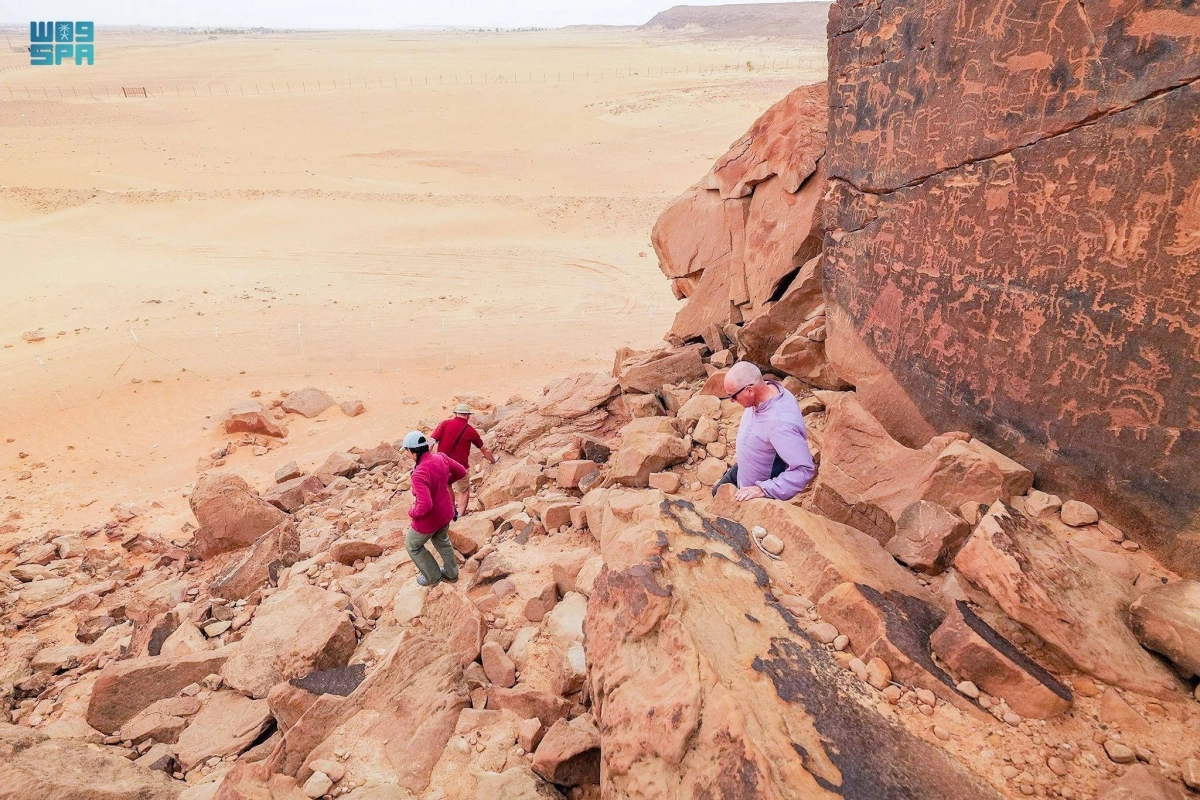  هنا عاش النعام القربي قبل نصف قرن (مكة)