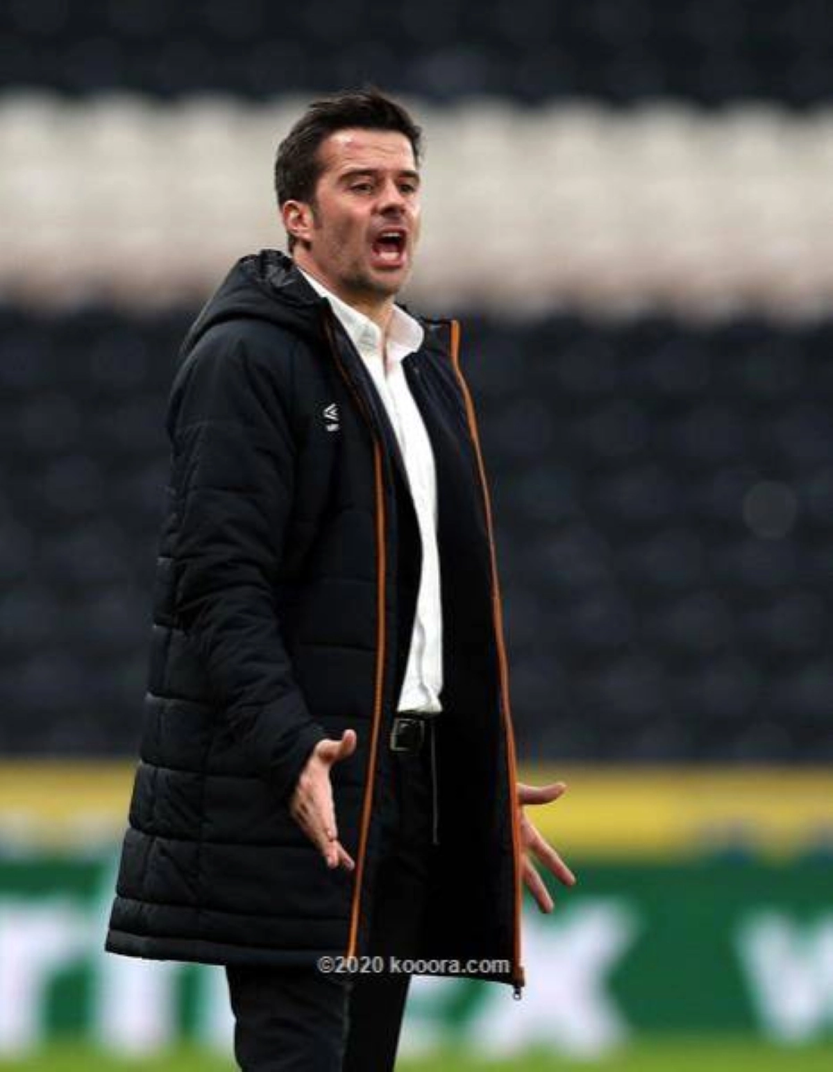 

ماركو سيلفا