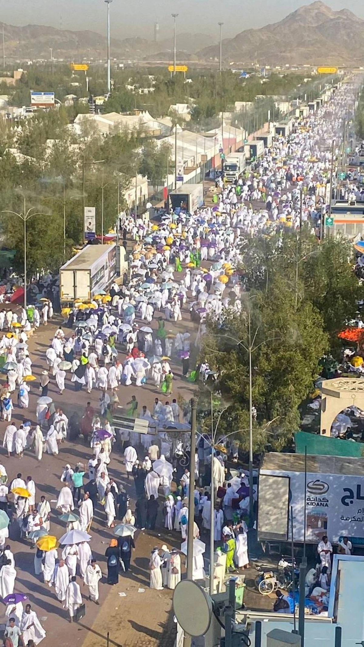 أنس الحارثي