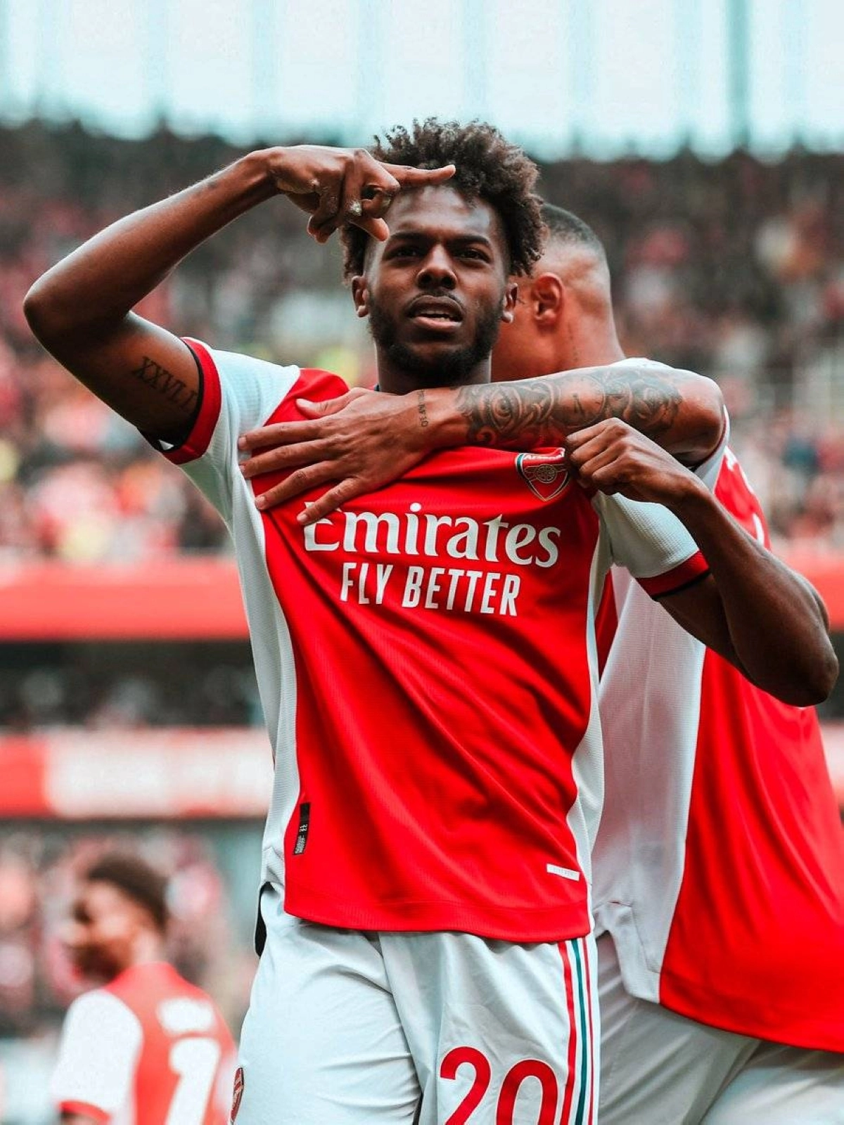 نونو تافاريس