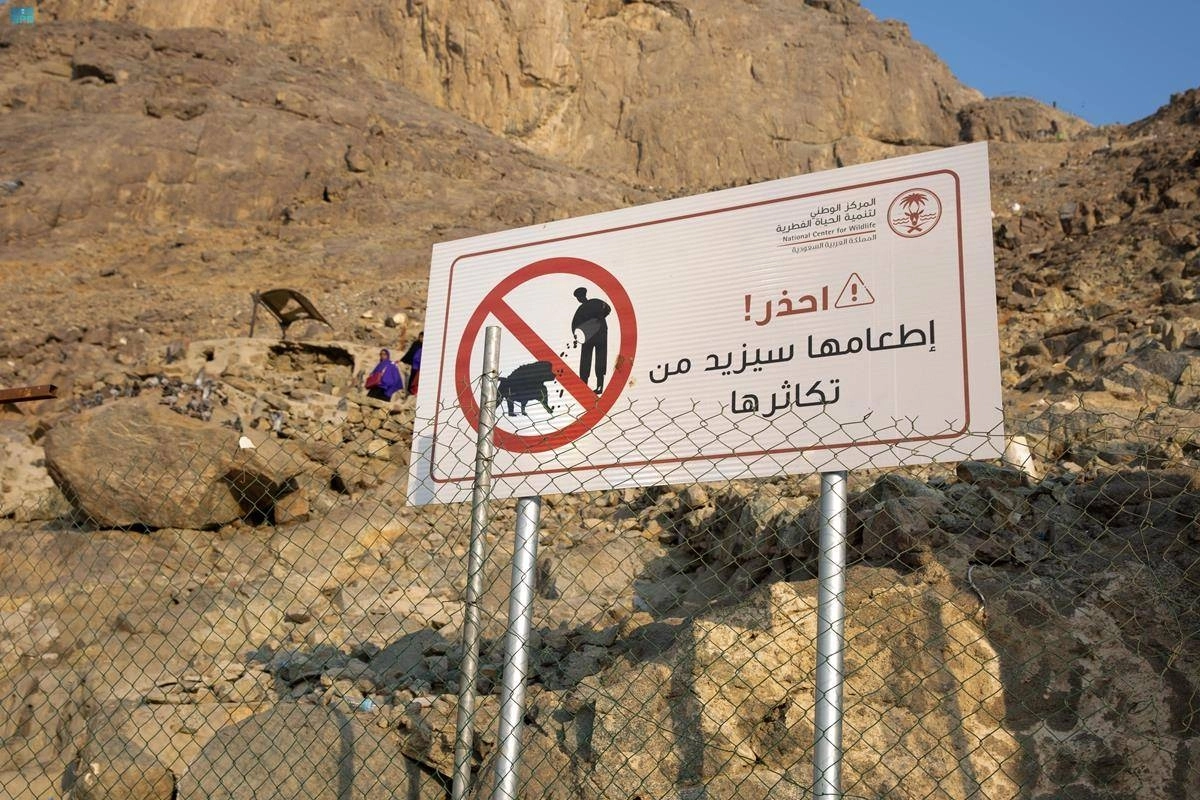 تحذير من إطعام قرود البابون (مكة)