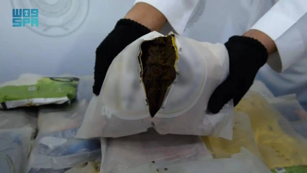 استخراج الحشيش المخدر (مكة)