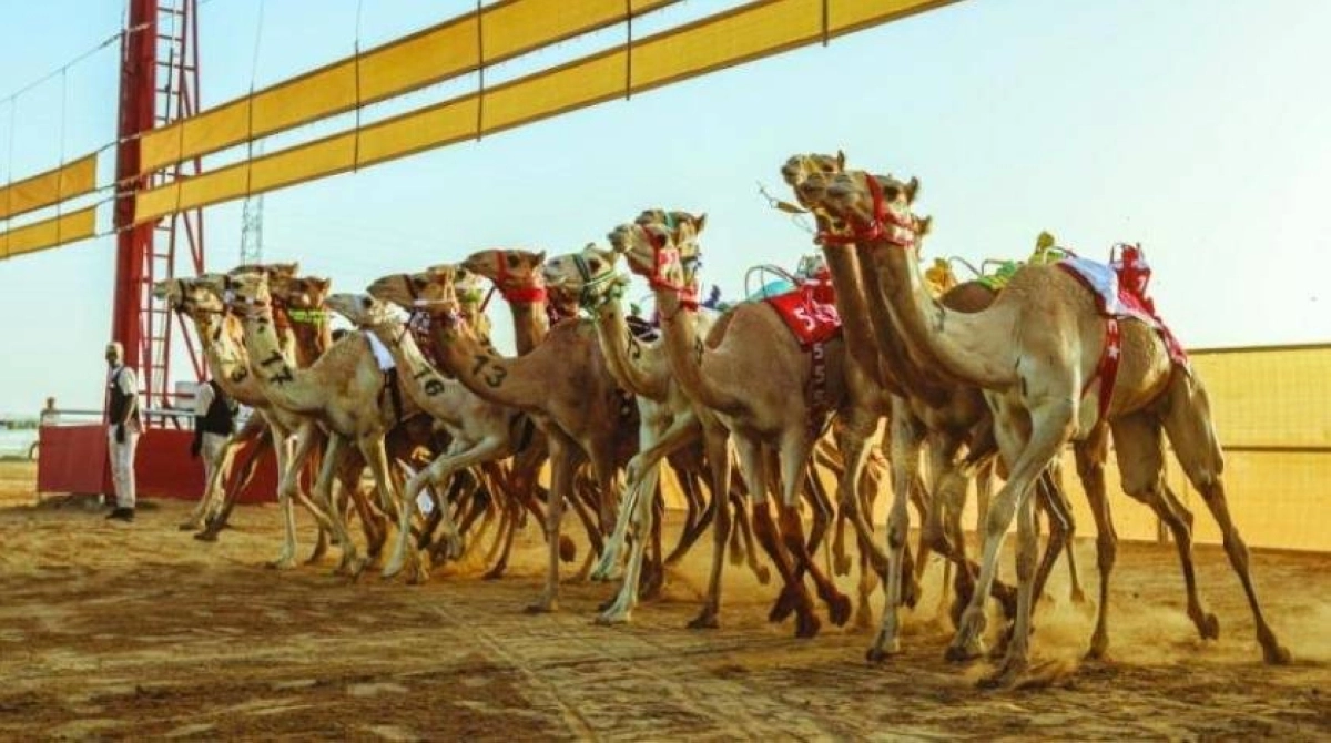 

جاهزية كاملة للسباق                                   (مكة)