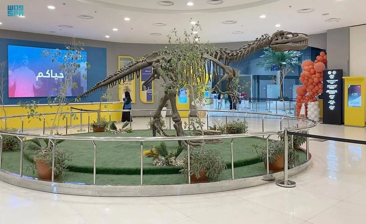 

توفير بيئة تعليمية محفزة                    (مكة)