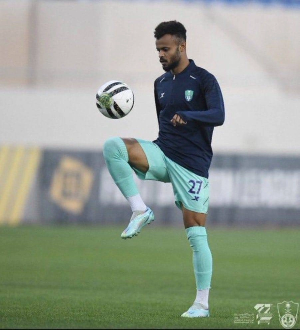 علي مجرشي