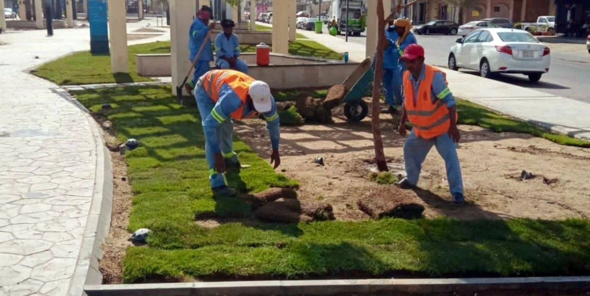 إعادة تأهيل الممشى