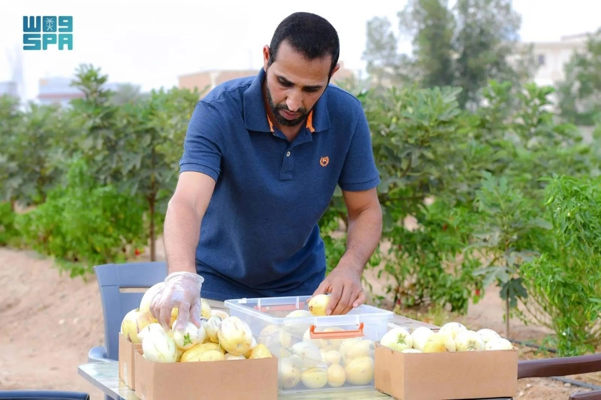 

من هاوٍ  إلى مستثمر محتمل                             (مكة)