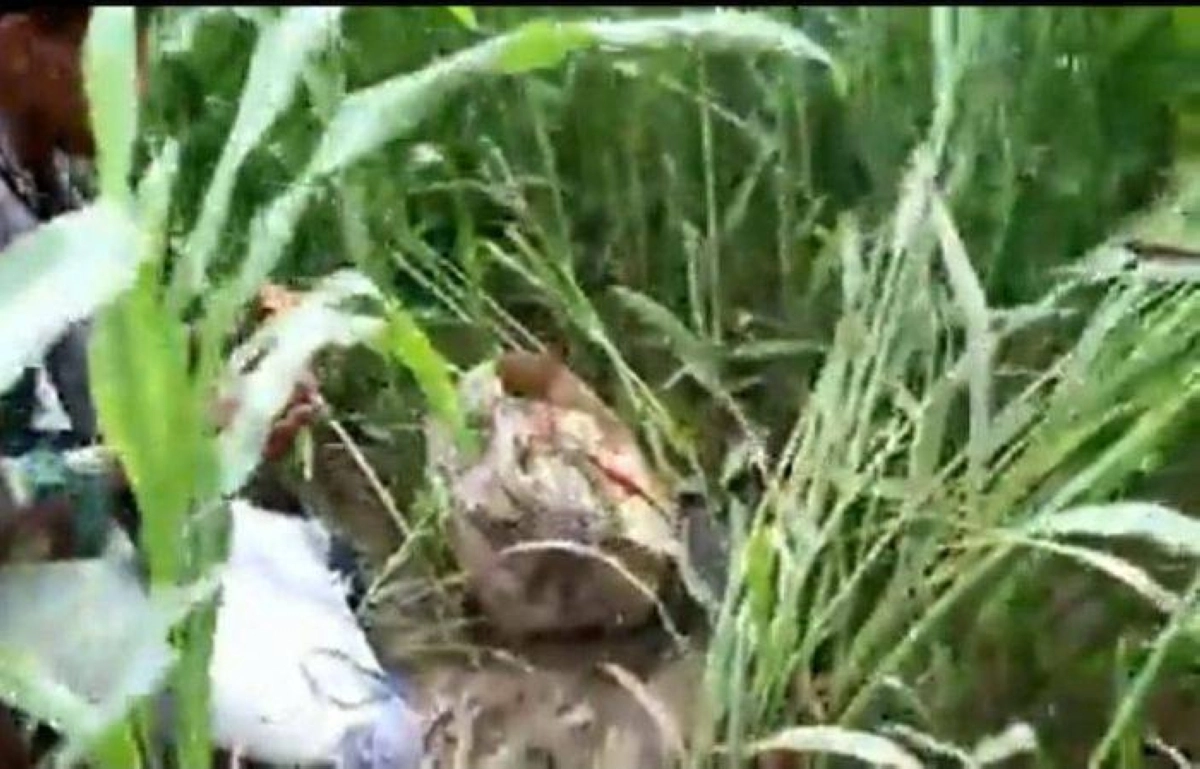 ألغام جرفتها السيول

