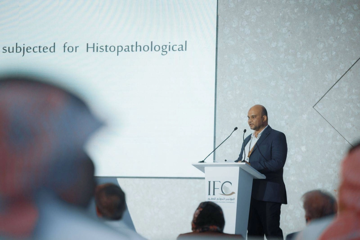 65a33d6c-f647-4c62-9b1a-cae2f67823af