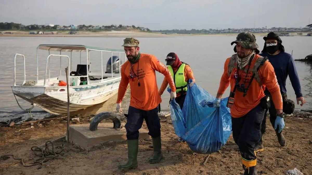 نهر الامازون