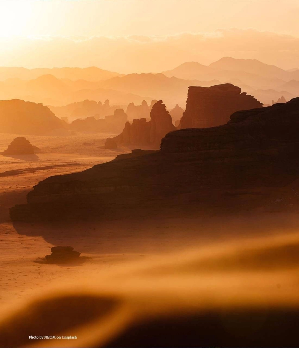 d4905657-5395-4540-9945-f2b8d675727d