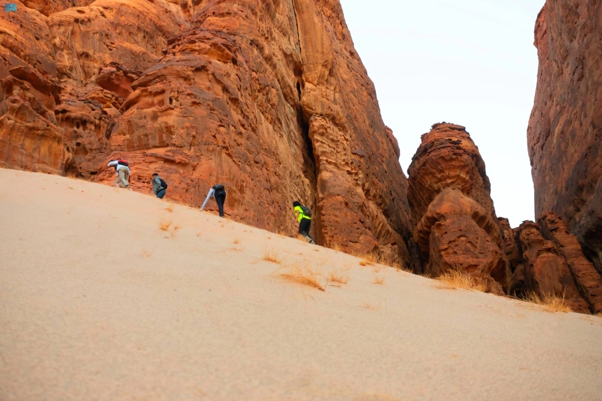 تراث وآثار العلا (مكة)