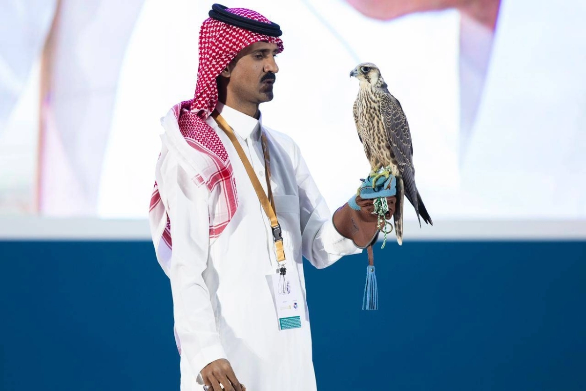 909fd942-090d-4e24-85b6-df4e00aa9018