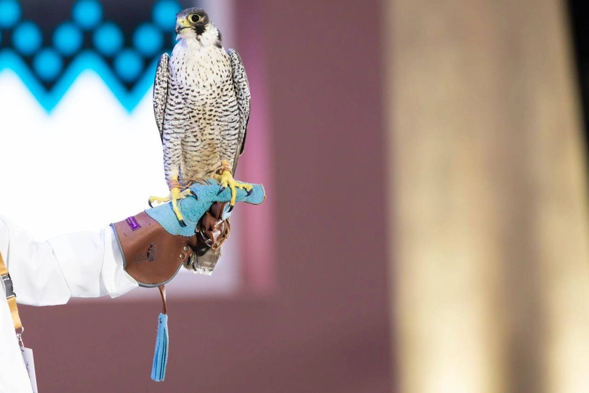 8eb4bb8c-5f83-49d9-9301-3b1e53c079c7