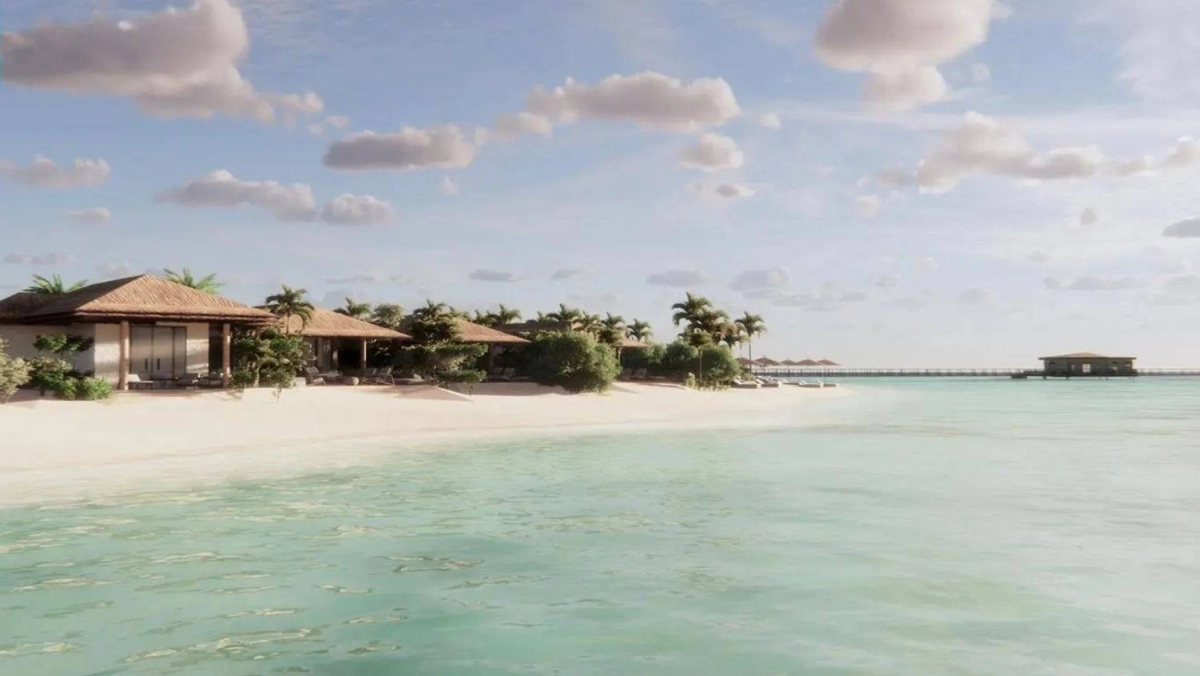 


منتجع ثول التابع لشركة البحر الأحمر 