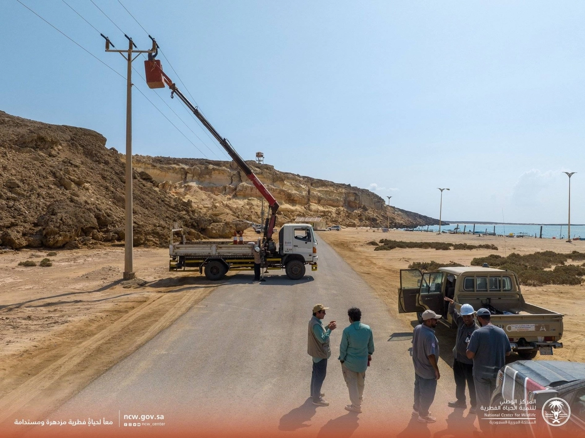 تركيب العوازل في محمية جزر فرسان