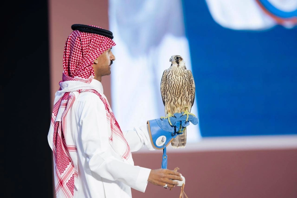 319a8f1f-1e34-46d3-83e7-42487f1b4b9f