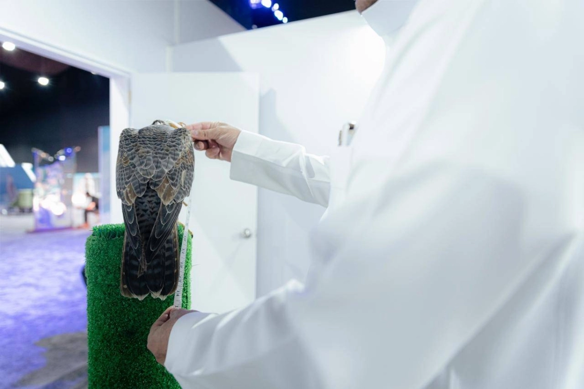 ac026630-1e99-43a9-94c9-476e5c594014