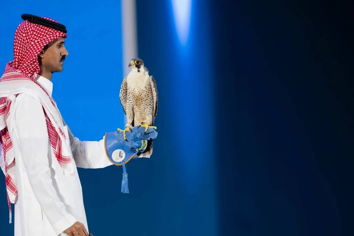 cdd7701d-ec3d-4f6a-a22d-03585643684f