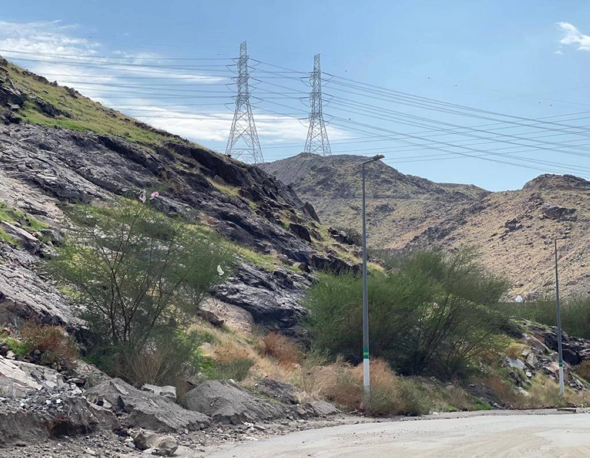 


إخضرار شجيرات حول الجبال                       (مكة) 