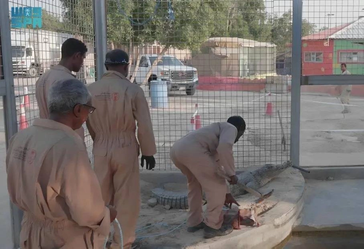 نقل الكائنات الفطرية إلى وحدة الإيواء (مكة)