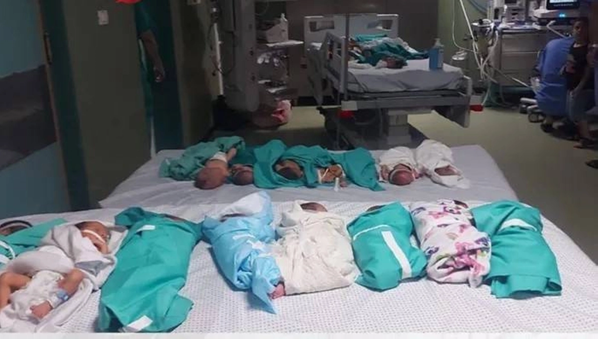 جثث الأطفال في مجمع الشفاء بغزة                          (مكة)