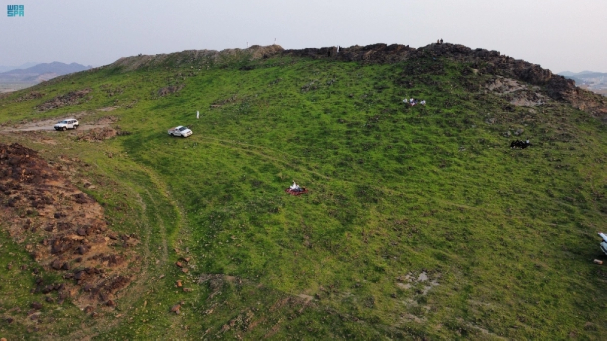 الخضرة تكسو الجبال والأودية (مكة) 