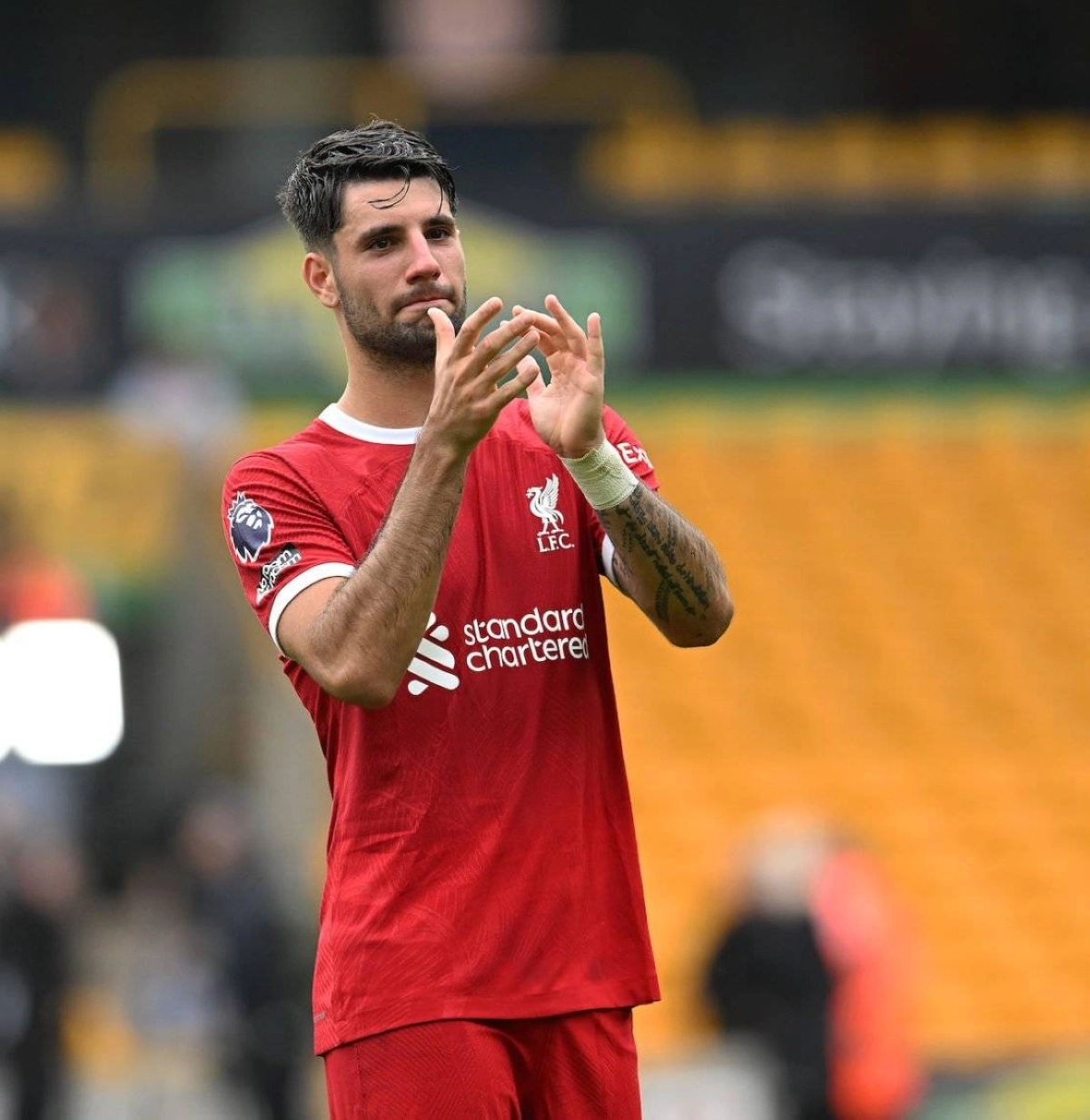 دومينيك سوبوسلاي