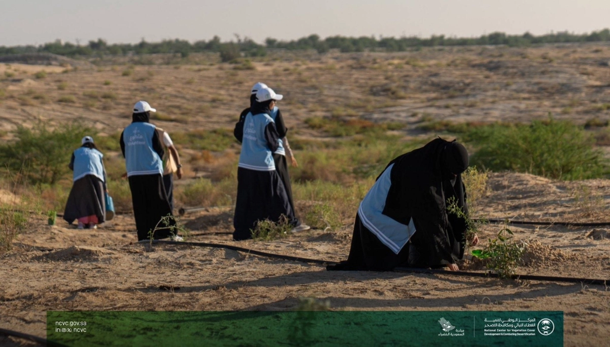 متطوعات يزرعن الأشجار ضمن المبادرة الوطنية