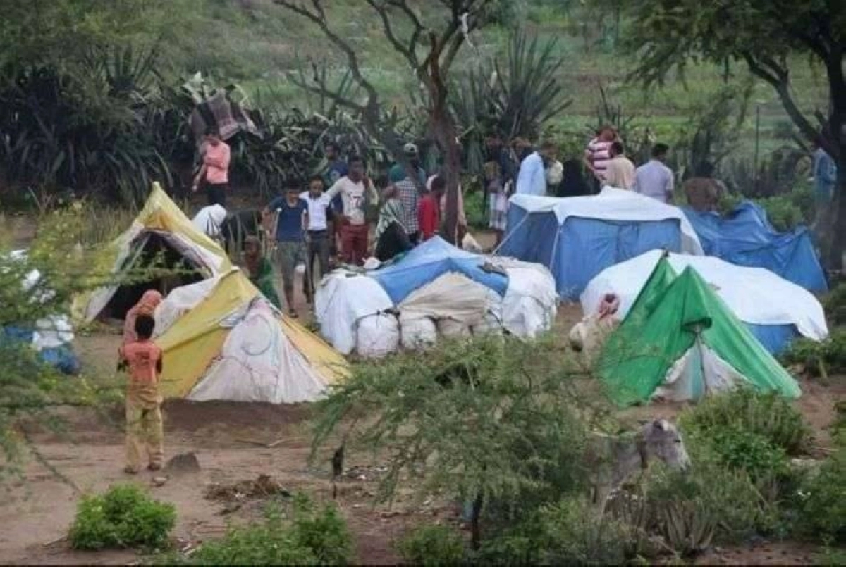 إحدى مخيمات النزوح بتعز