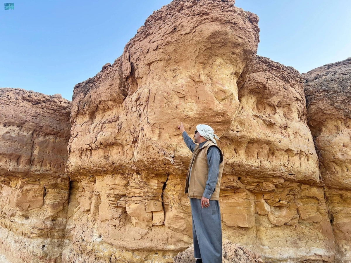 


أحد التشيكلات الصخرية                     (مكة) 