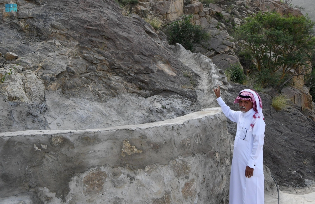 


عودة لإحياء مزارع البن                                                               (مكة) 