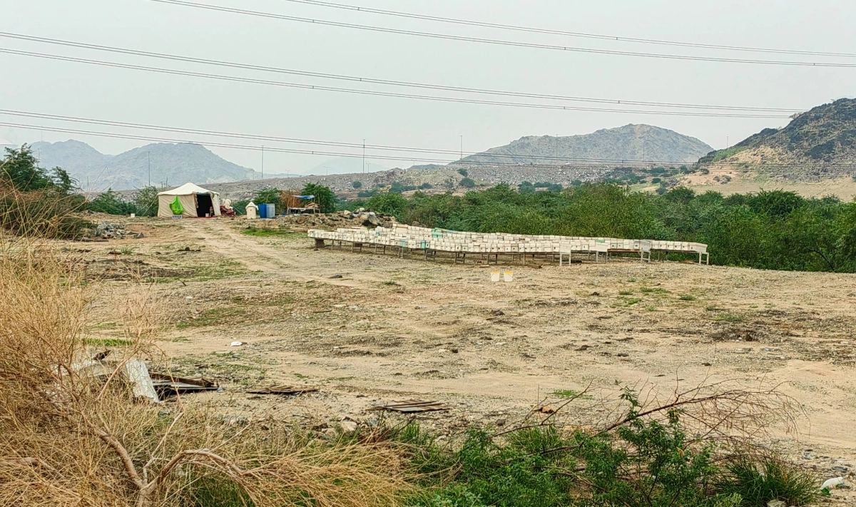 أسهمت الأجواء الربيعية والخضرة التي خلفتها الأمطار الأخيرة في إغراء أصحاب المناحل للتجول بخلايا وبيوت النحل، بحثا عن مرعى جيد في مكة المكرمة وضواحيها. (أنس الحارثي)