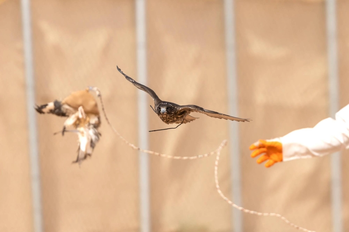 a4013d04-f224-4489-a52b-cf9d0061590c