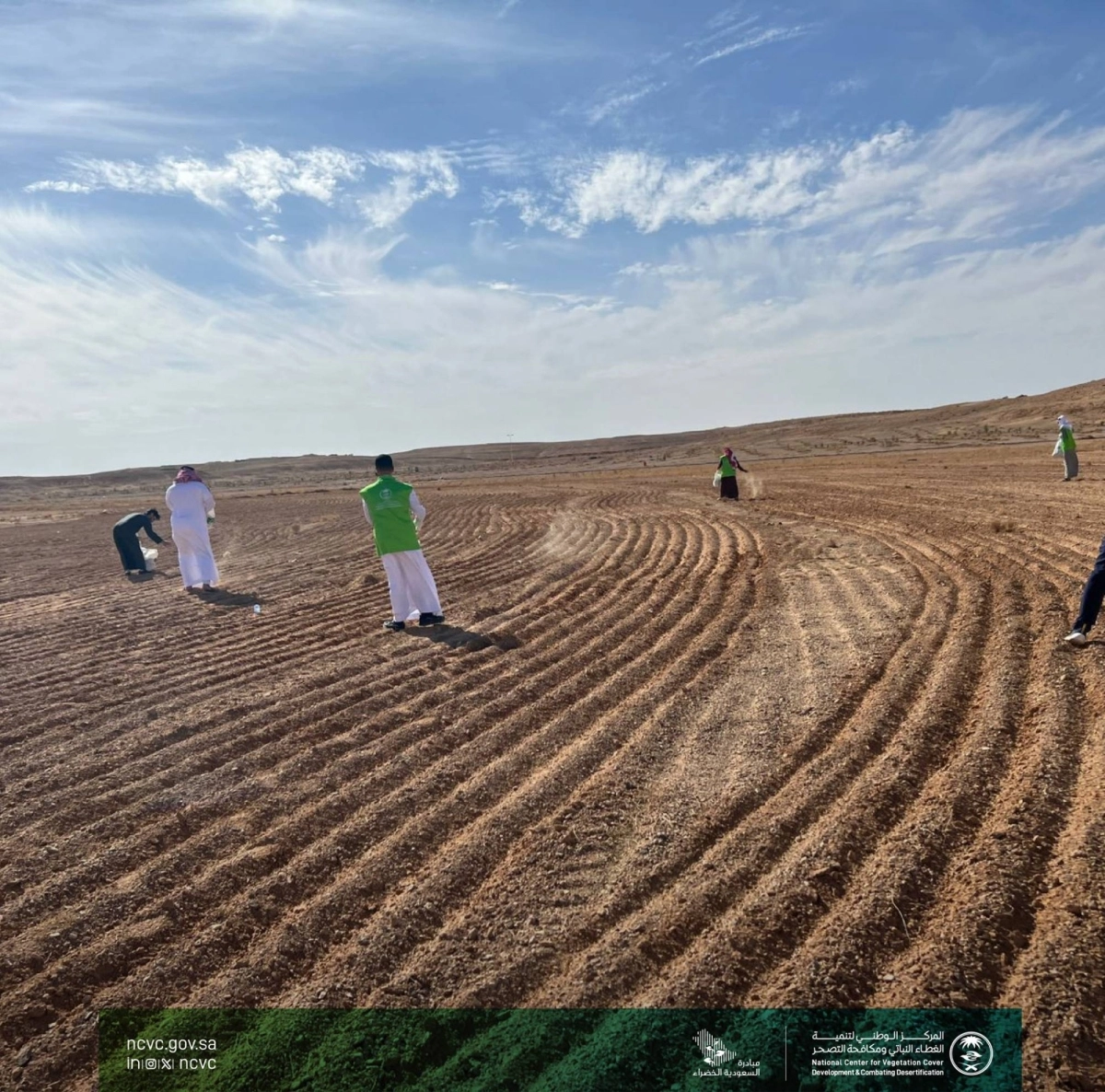 السعودية تواجه التصحر بحملات التشجير