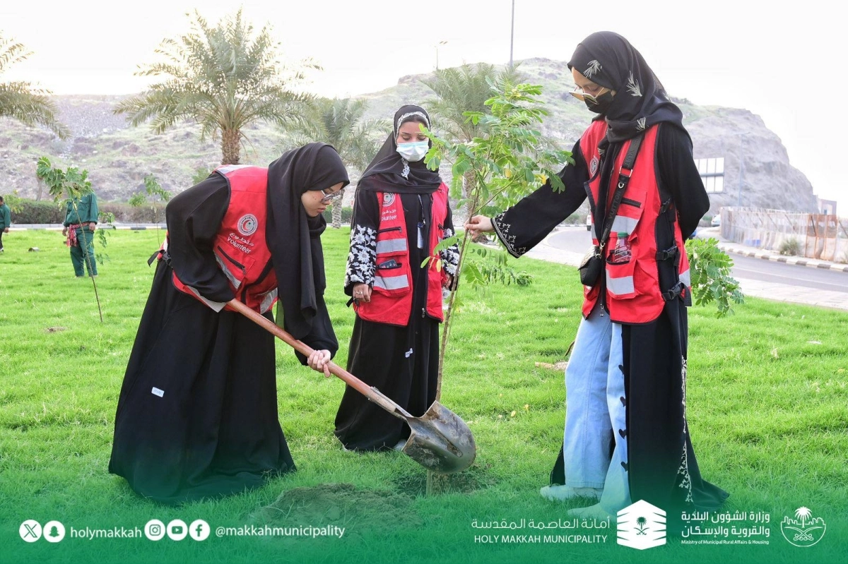 


متطوعات يزرعن الاشجار في كدي 