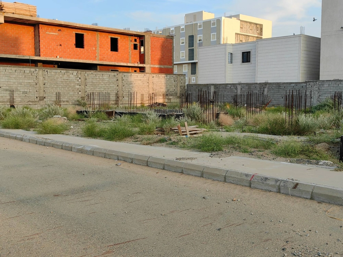 (أنس الحارثي)