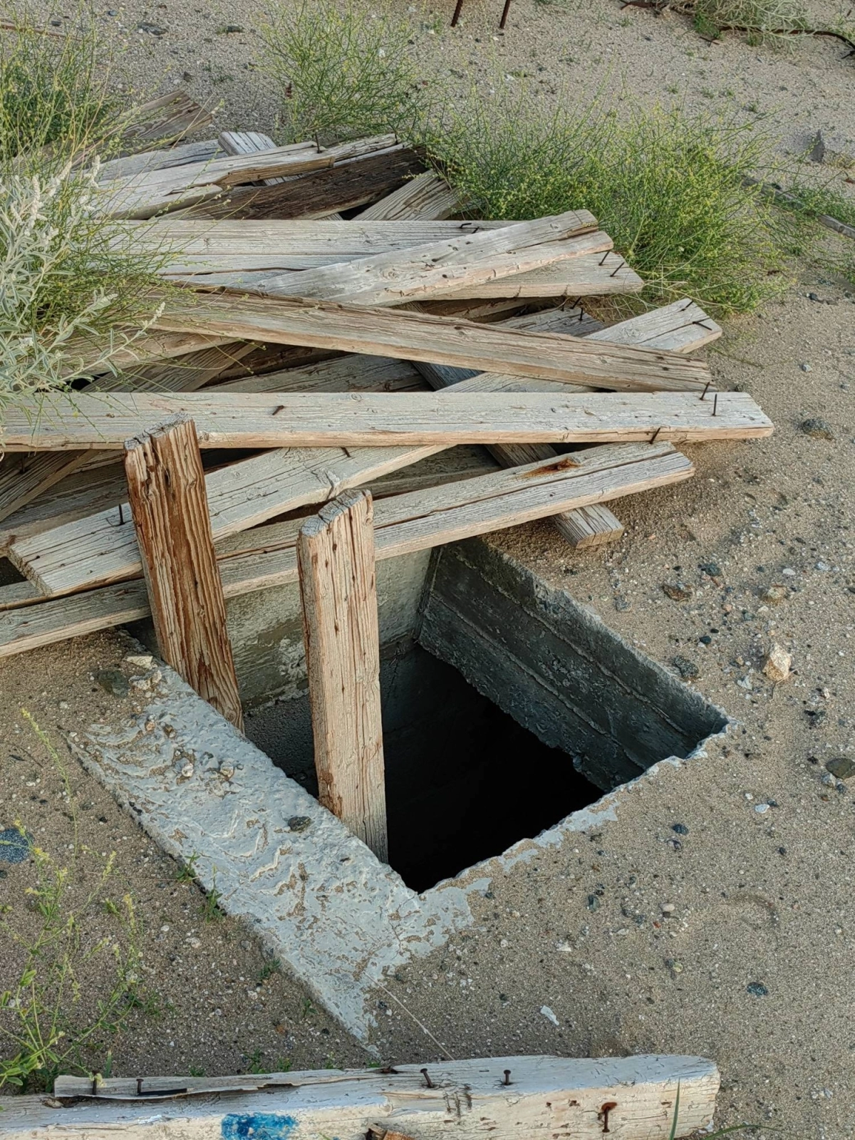 (أنس الحارثي)