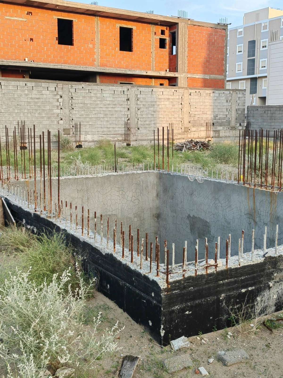 (أنس الحارثي)