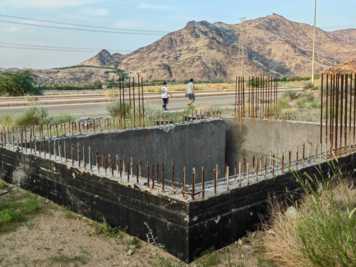 (أنس الحارثي)