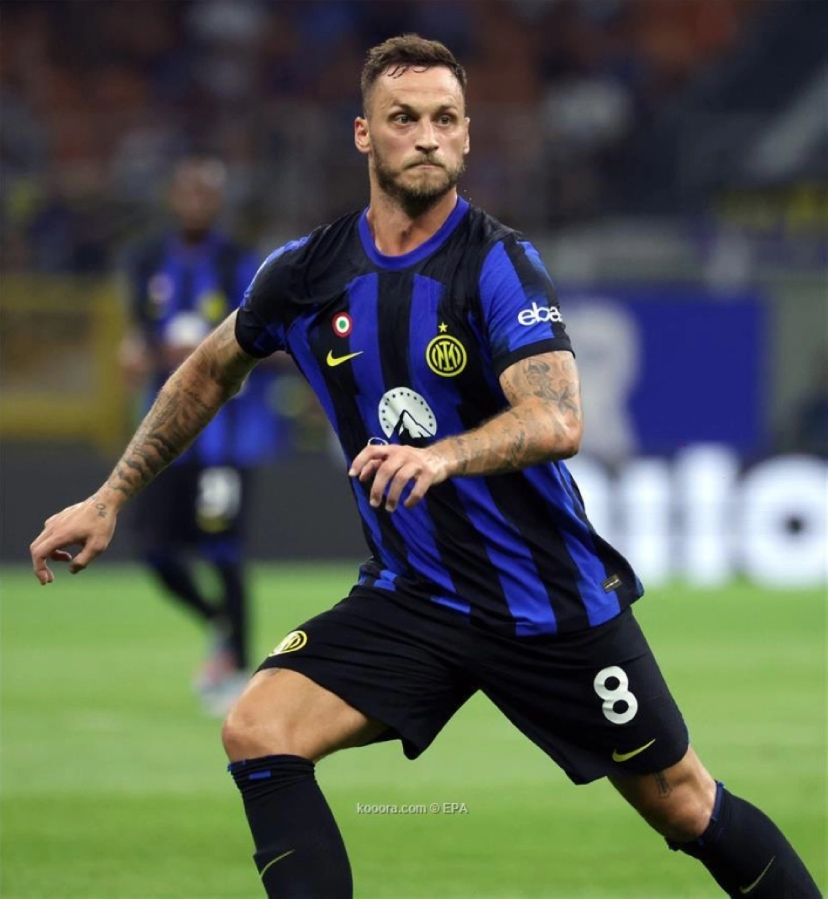 ماركو أرناوتوفيتش